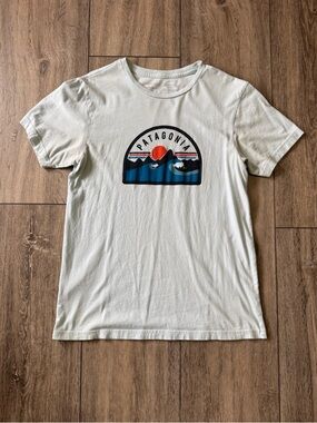 Pick 2 for $20. Patagonia Organic Cotton Tee with Mountain Graphic